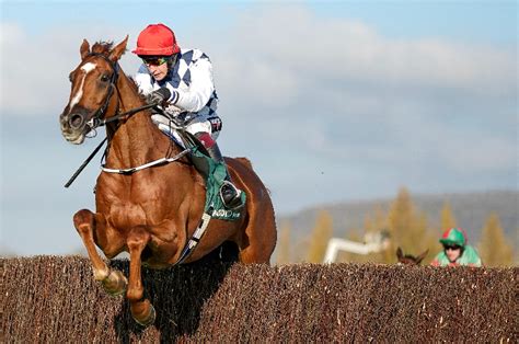 Eye On Cheltenham .